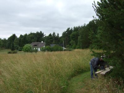 2009_07050096.JPG