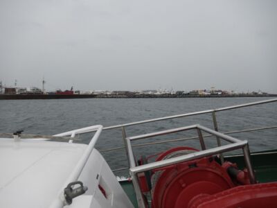 DSCN8461.JPG