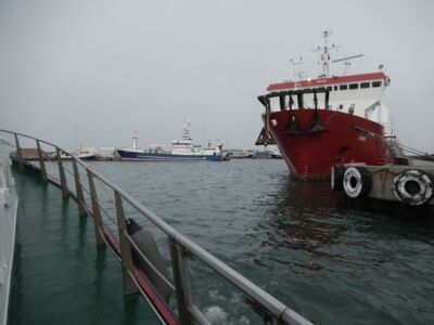 DSCN8465.JPG